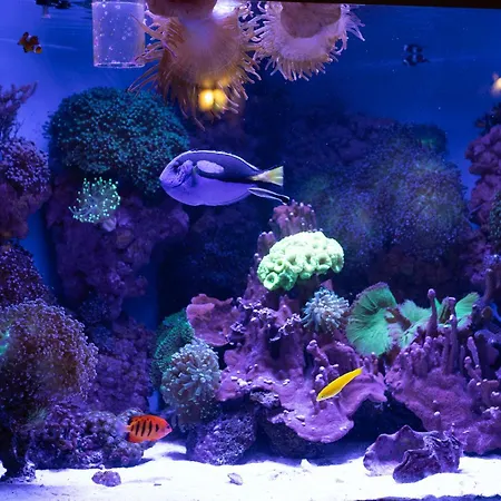 Affittacamere Panda 3*