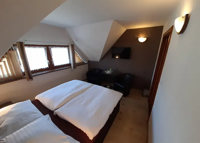 Gasthuis Panda 3*